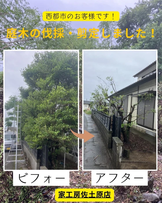 画像488