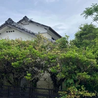 画像491