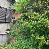 画像493