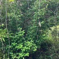 画像494