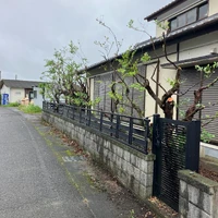 画像496