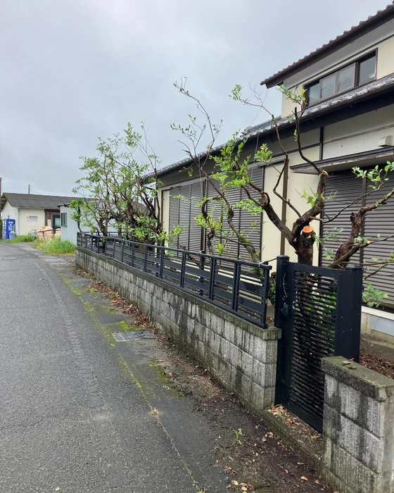 画像496