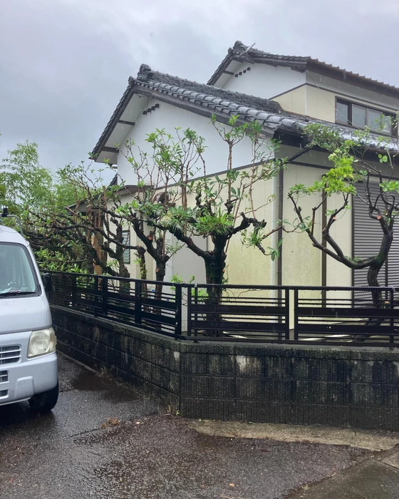画像497
