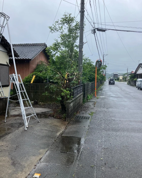 画像499