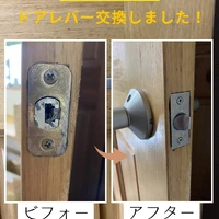 画像501