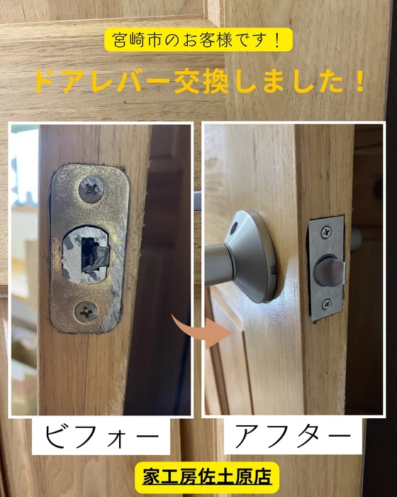 画像501