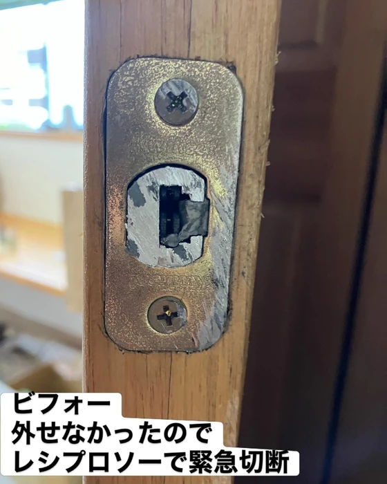 画像503