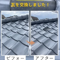 画像518