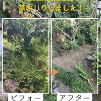 画像531