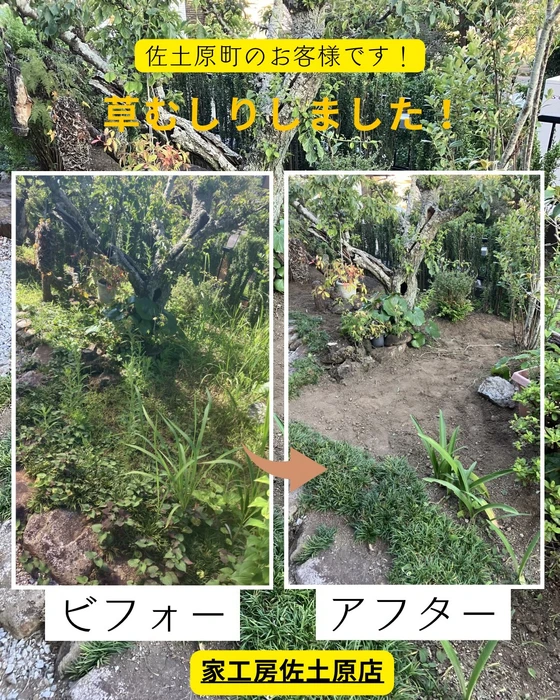 画像531