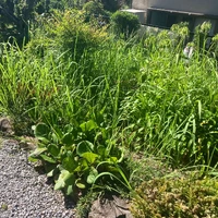 画像536