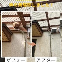 画像541