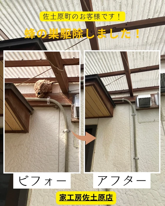 画像541