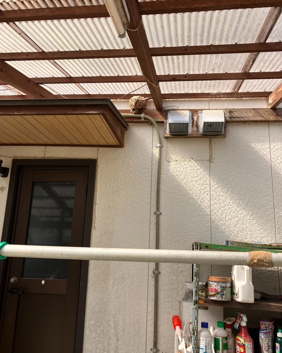 画像543