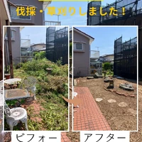 画像547