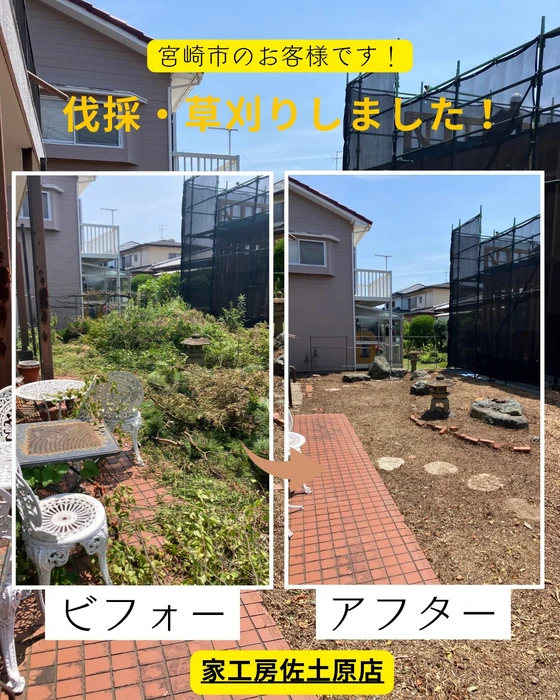 画像547