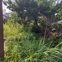 画像550