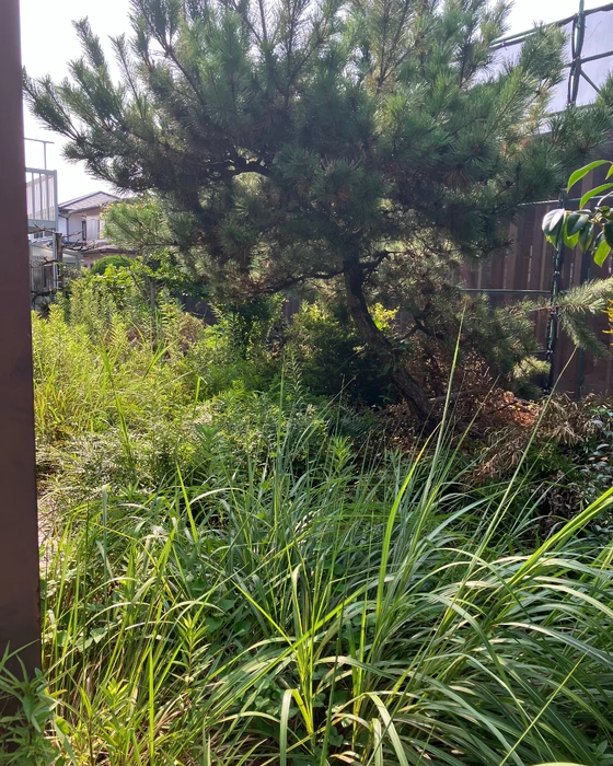 画像550