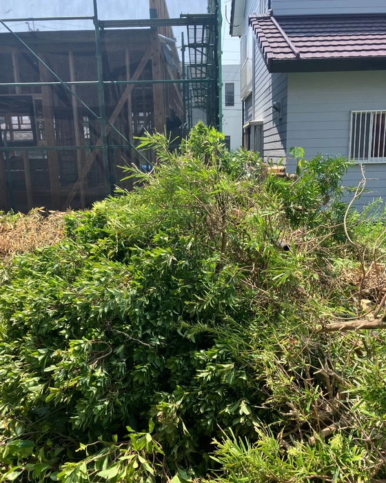 画像551