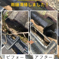 画像560