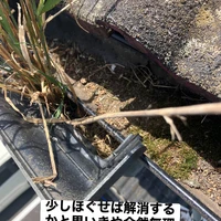 画像562