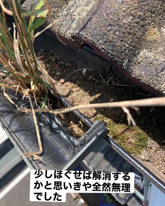 画像562