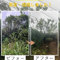 画像565