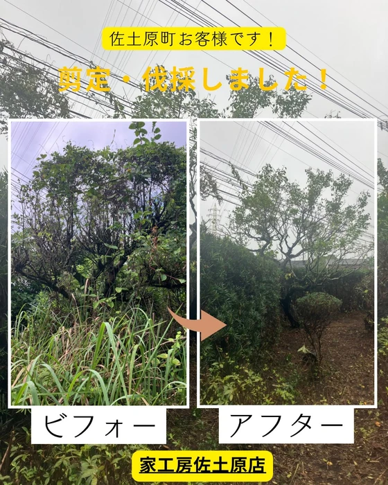 画像565