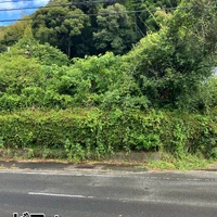 画像566