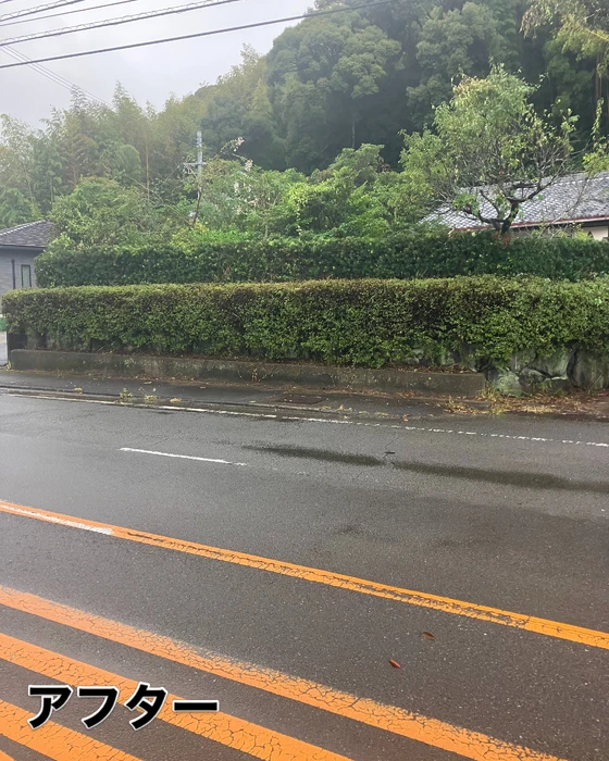 画像567
