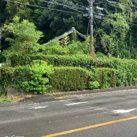 画像568