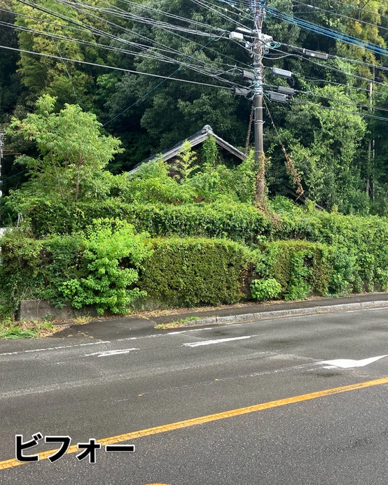 画像568