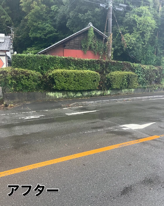 画像569