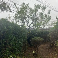 画像571