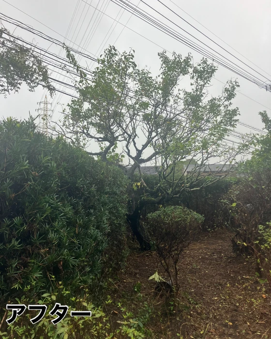 画像571