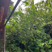 画像572