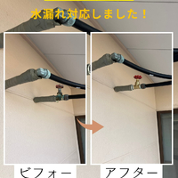 画像576