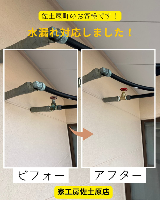 画像576