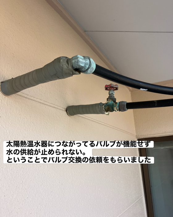 画像578