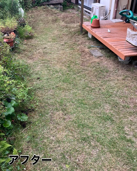 画像595