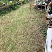 画像596