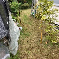画像597