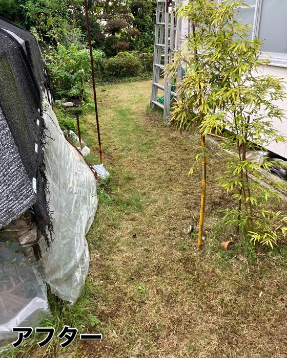画像597