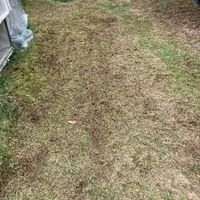 画像598