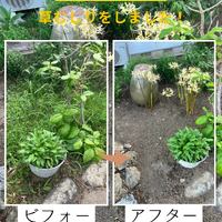 画像600