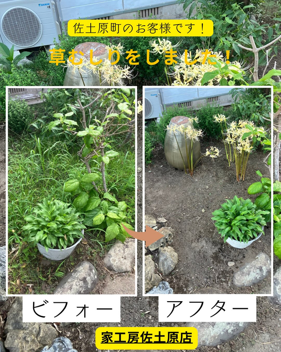 画像600
